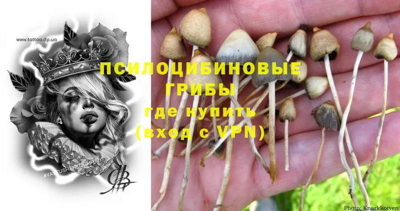 Псилоцибиновые грибы MAGIC MUSHROOMS  дарнет шоп  Ефремов 